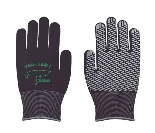 Toyama GRN Thunderbirds